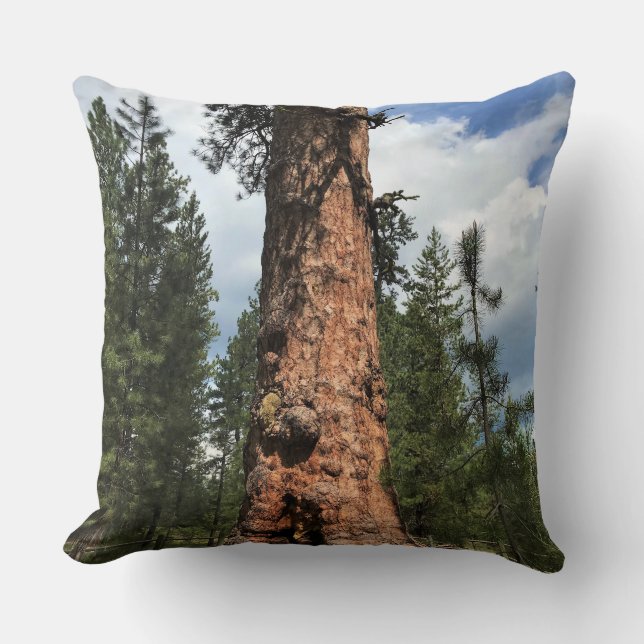 Coussin Big Red Tree, La Pine OU (Recto)