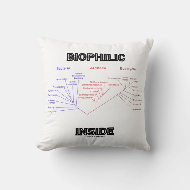 Coussin Biophile Dans L'Arbre Phylogénétique De La Biologi (Recto)
