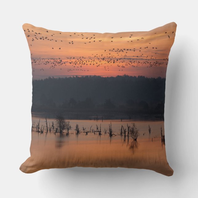 Coussin Birds (Recto)