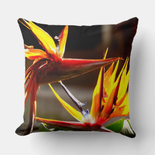 Coussin Birds of Paradise : Flower from Mexico