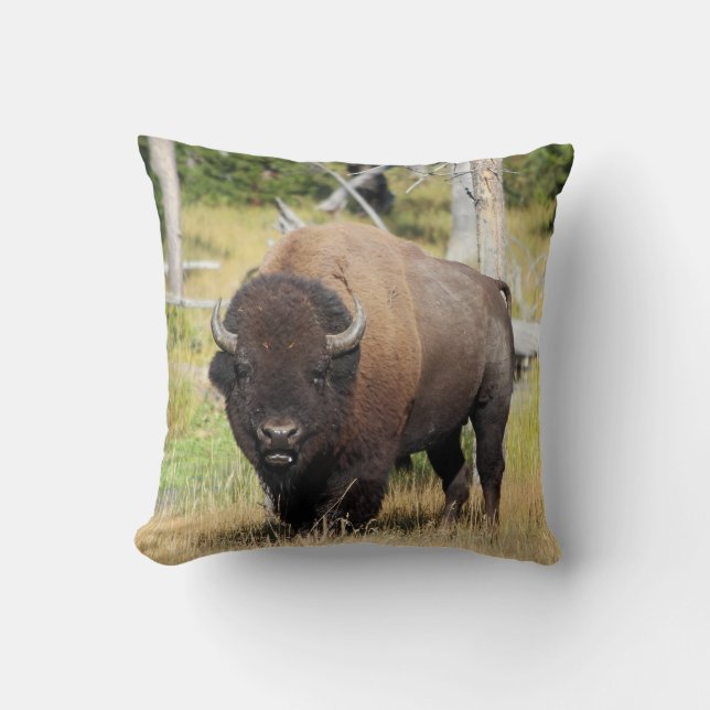Coussin Bison Bull Throw Pillow (Recto)