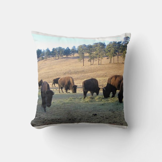 Coussin Bison dans le Colorado (Recto)
