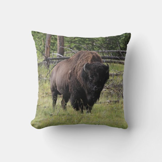 Coussin Bison de photo de Yellowstone (Recto)