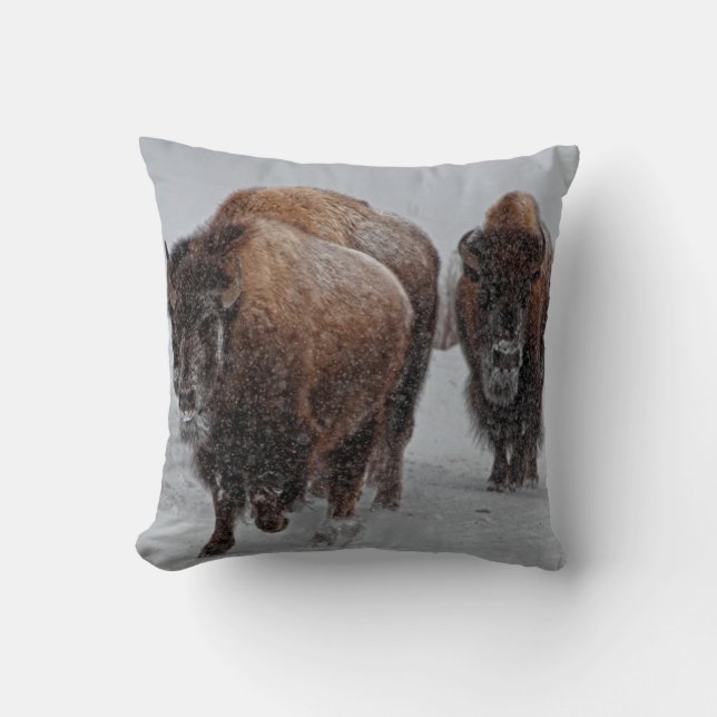 Coussin Bison de Yellowstone (Recto)