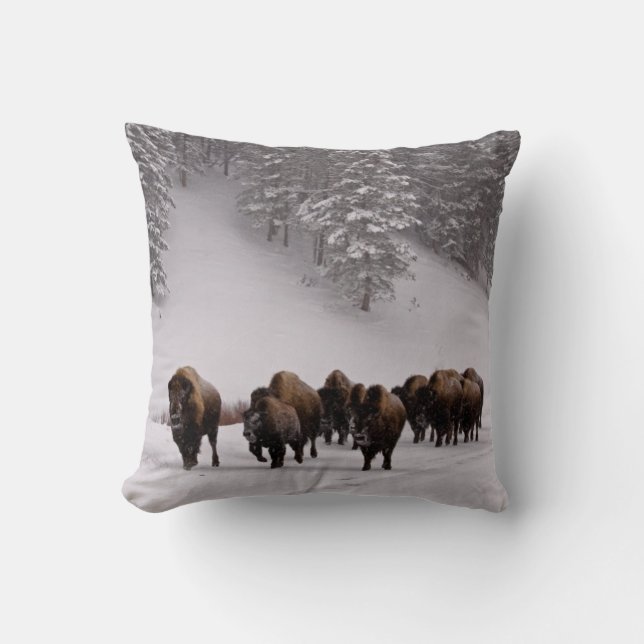 Coussin Bison en hiver (Recto)