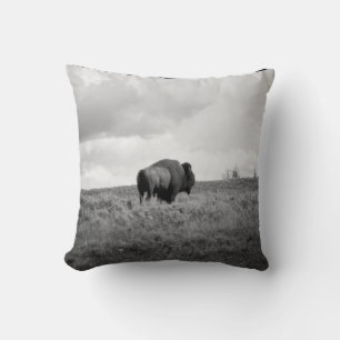 Coussin Bison noir et blanc américain debout dans un champ