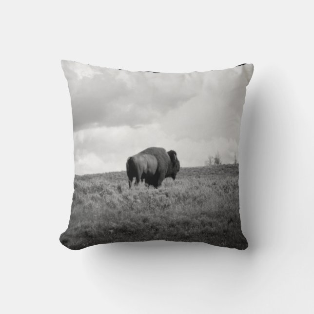 Coussin Bison noir et blanc américain debout dans un champ (Recto)