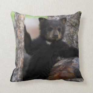 Coussin Black Bears Cub Lounge