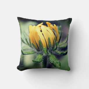 Coussin Black Eyed Susan Éveil
