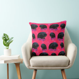 Coussin Black Guinée Pigs On Pretty Pink Rose