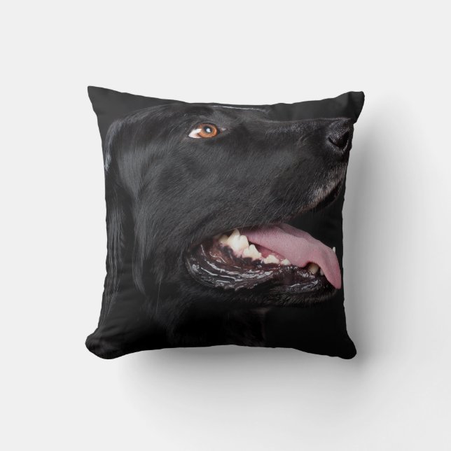 Coussin Black Lab Animaux de compagnie Chien Lancer oreill (Recto)