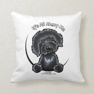 Coussin Black Labradodle IAAM