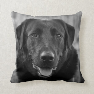 Coussin Black Labrador Photo Pet Dog 
