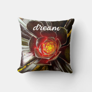 Coussin Black Orange Cactus Photo Dream Citation Script Bo