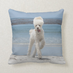 Coussin blanc de caniche