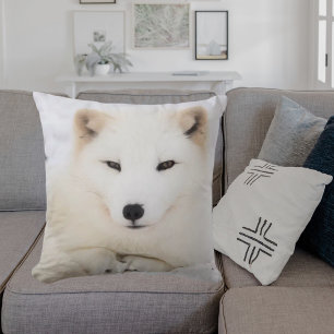 Coussin Blanc renard arctique neige mignonne