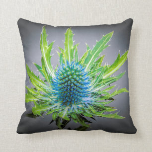 Coussin bleu d'Eryngium
