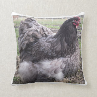 Coussin bleu d'Orpington, poulet, poule, coq