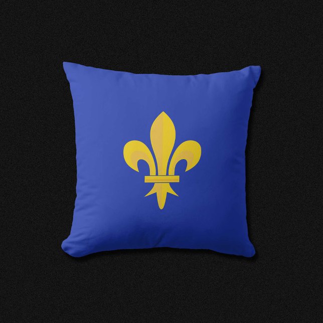 Coussin Bleu Roi avec Fleur de Lys Or (Fleur de Lis on Royal Blue Pillow)