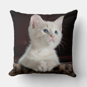 Coussin Bleu teint blanc Kitten