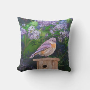 Coussin Bleuet de l'Est en neige - Photo originale