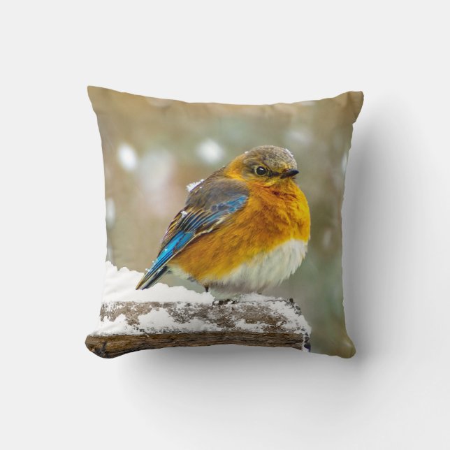 Coussin Bleuet de l'Est en neige - Photo originale (Recto)