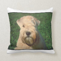 Coussin blond comme les blés doucement enduit de