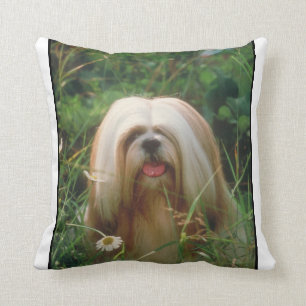 Coussin blond de Lhasa Apso