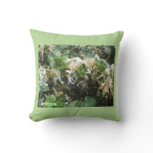 Blooms de Honeysuckle