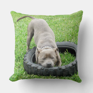 Coussin Blue Staffordshire Bull Terrier Temps de jeu.