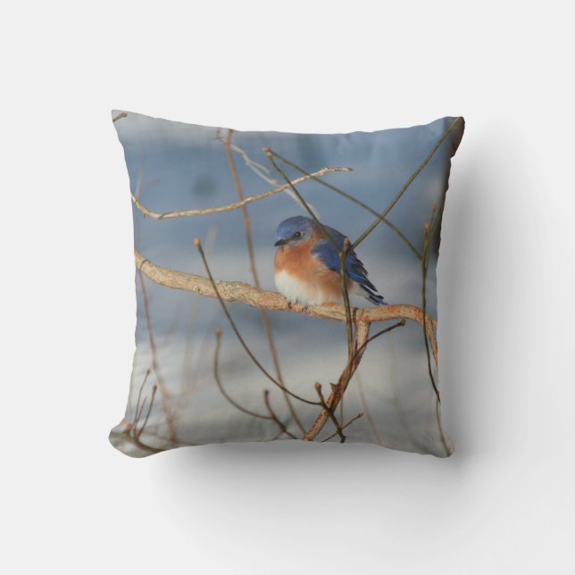 Coussin Bluebird d'hiver   (Recto)