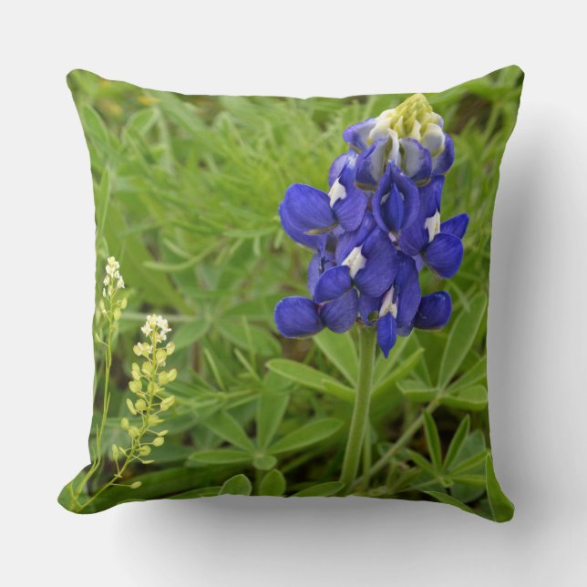 Coussin Bluebonnet (Recto)