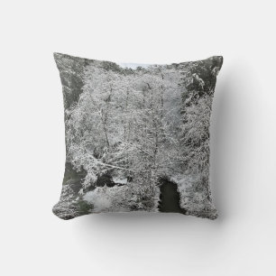 Coussin Boeckman Creek en hiver, Oregon