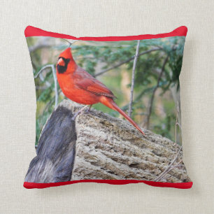 Coussin Bois cardinal