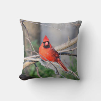 Coussin Bois cardinaux de ressort