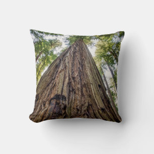 Coussin Bois de Roosevelt