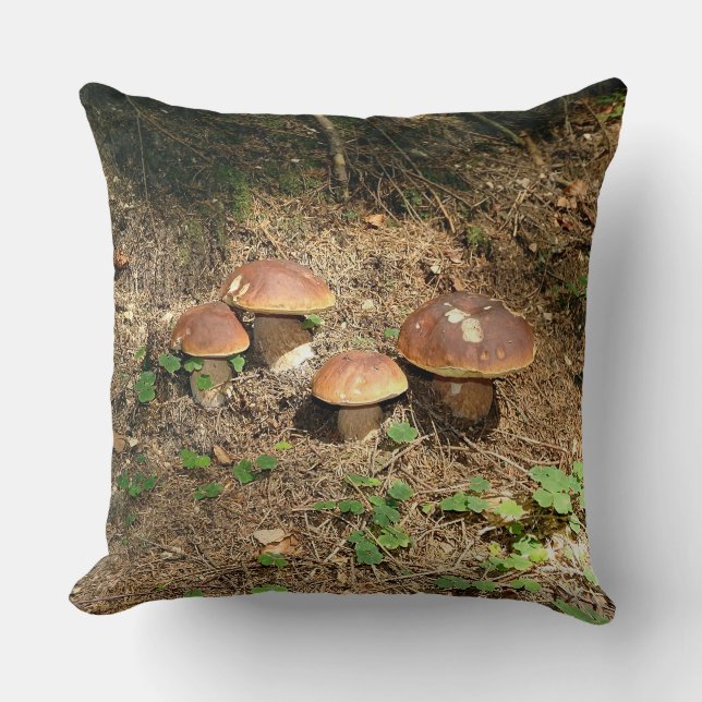 Coussin boletus (Recto)