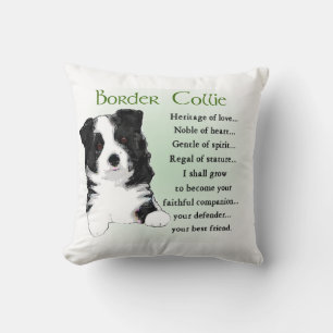 Coussin Border Collie