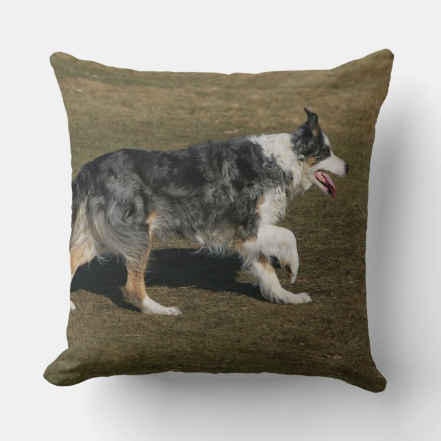 Coussin Border collie courant 1 (Recto)