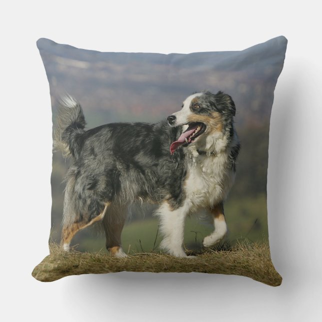 Coussin Border collie haletant 2 (Recto)