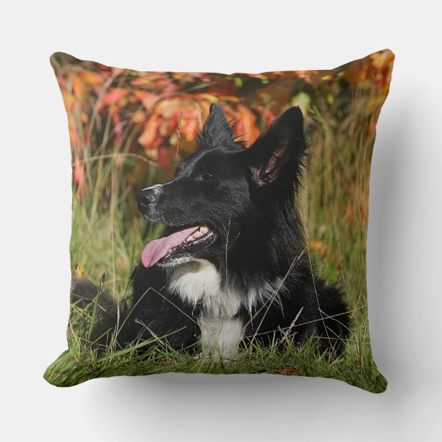 Coussin Border collie haletant la fixation (Recto)