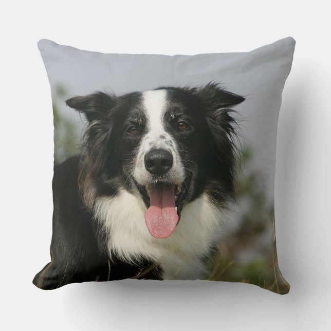 Coussin Border collie haletant le Headshot 1 (Recto)