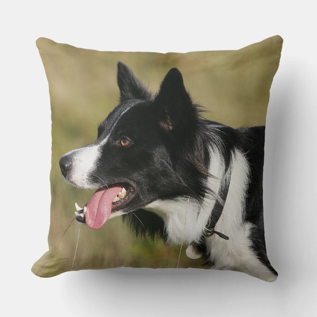 Coussin Border collie haletant le Headshot 2 (Recto)
