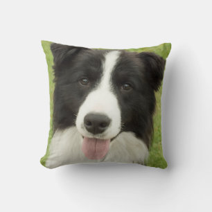 Coussin Bordure Collie