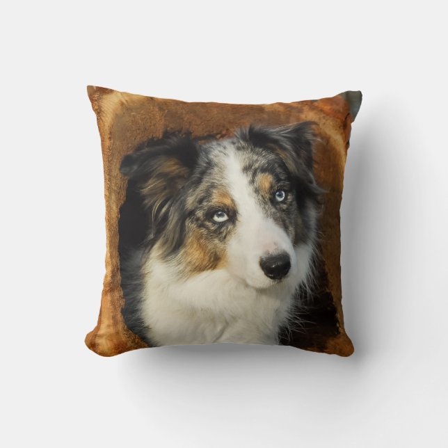 Coussin Bordure Collie chien mignon (Recto)