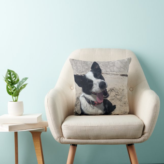 Coussin Bordure Collie sur la plage (Chaise)