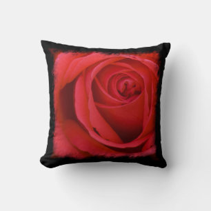Coussin Bordure noire rose rouge