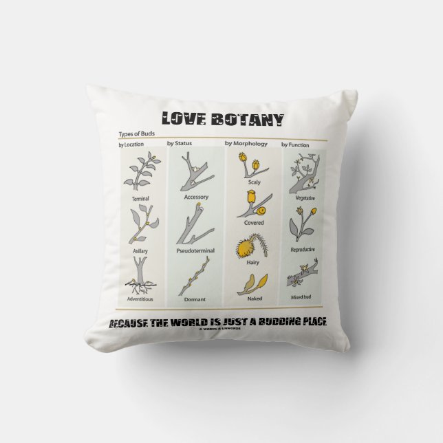 Coussin Botanique d'amour puisque le monde est juste (Recto)