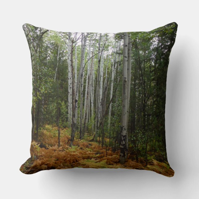 Coussin Bouleaux blancs et fougères d'automne dans les mon (Recto)