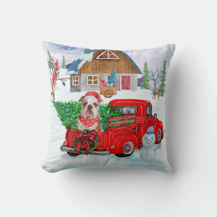 Coussin Bouledogue anglais dans un camion de livraison de 